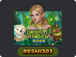 Enchanted Forest